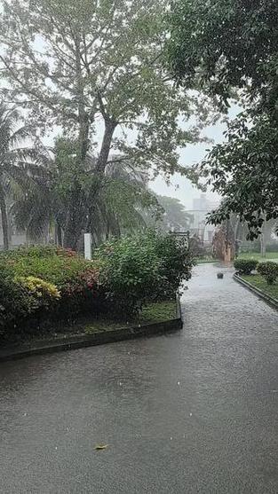 接小雨专用
