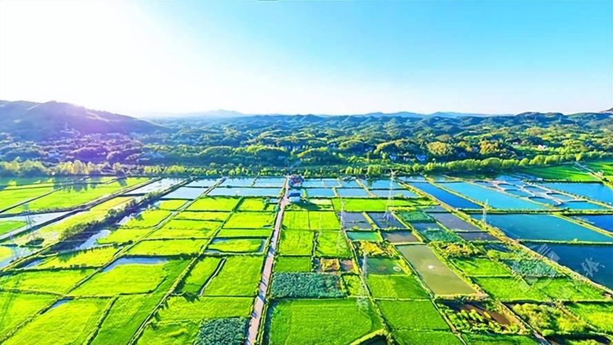 锦绣良田之长姐掌家