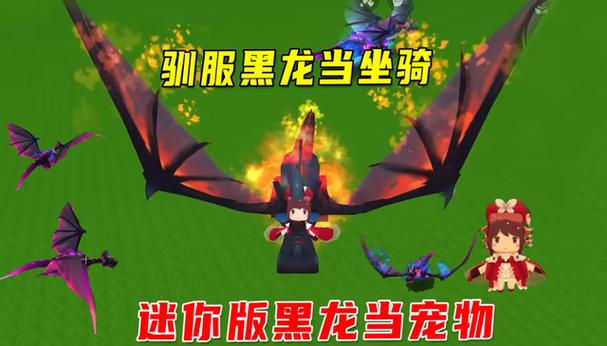 怎么驯服黑龙?图标