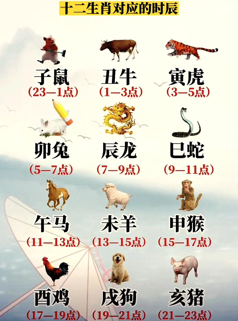 子月有午日什么生肖