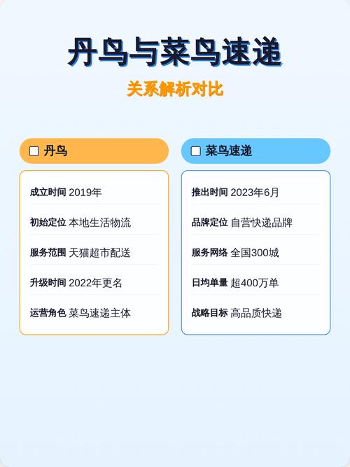 丹鸟和菜鸟的关系游戏截图