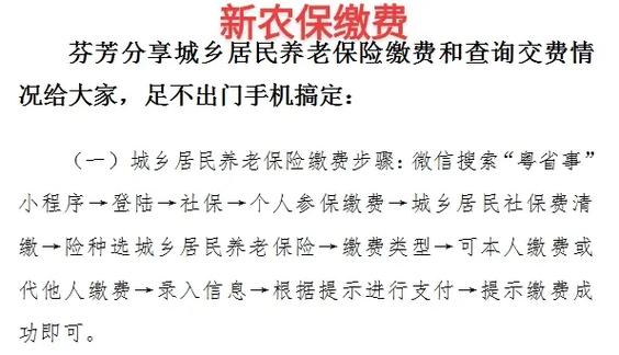 新农保网上缴费步骤