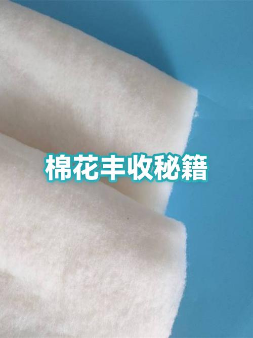 挑选棉花最好三个方法图标
