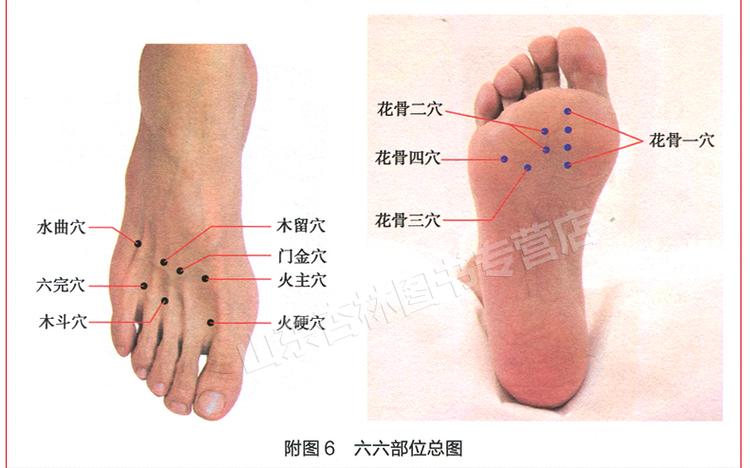 董氏奇穴针灸视频