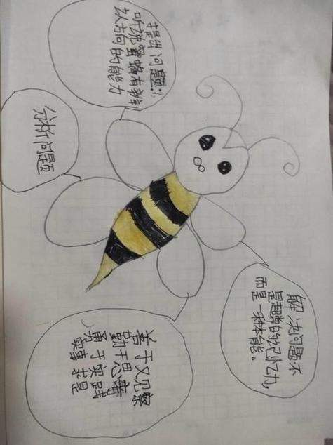 蜜蜂阅读分析