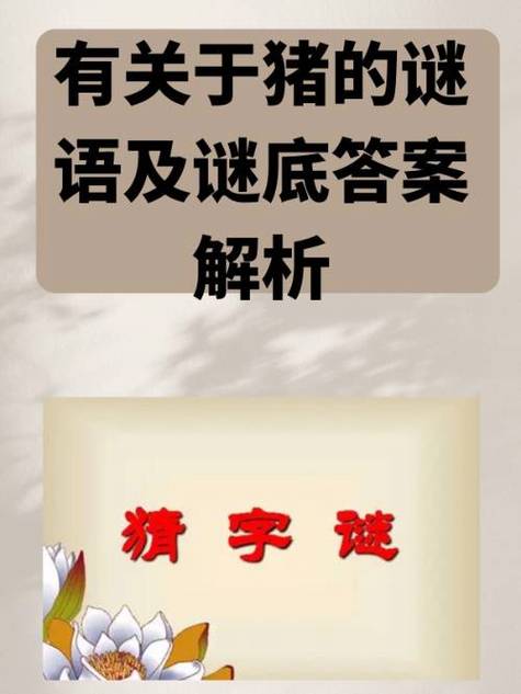 耳朵阅读短文完整答案