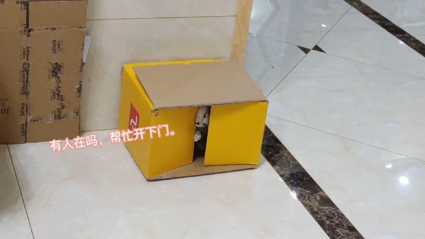 被关在箱子里