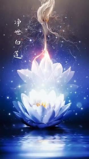洪荒初始净世白莲化形游戏截图