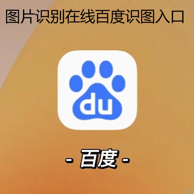 手机idm下载百度网盘资源