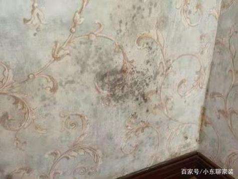 壁布上铅笔划痕怎么处理