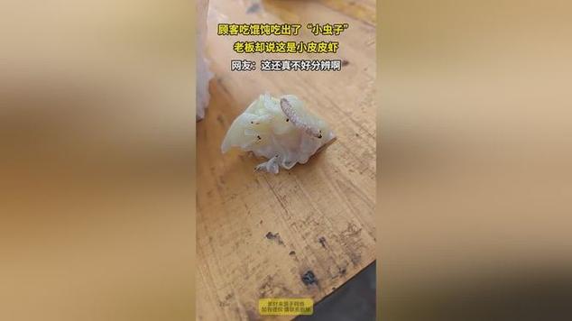 混沌昆虫缩略图