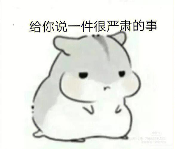 可爱小仓鼠精神发疯可怜表情包图片缩略图