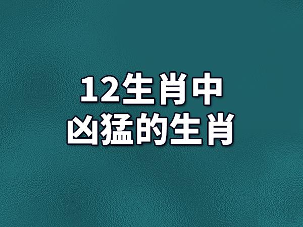 属相马身边的坏人是谁