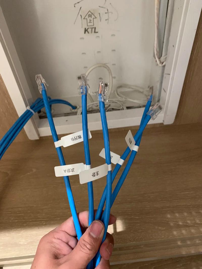 墙体的网线是否可以更换