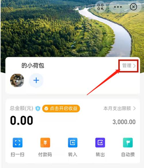 支付宝怎么设置每日限额消费