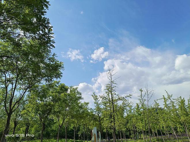 微信照片不清晰怎么变清晰