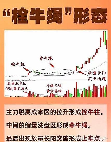 我以股市铸传奇