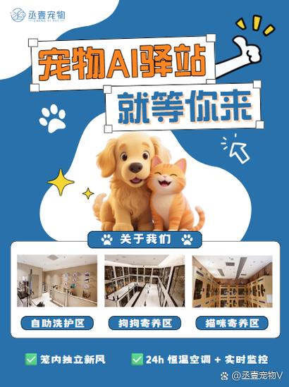 宠物驿站的服务流程