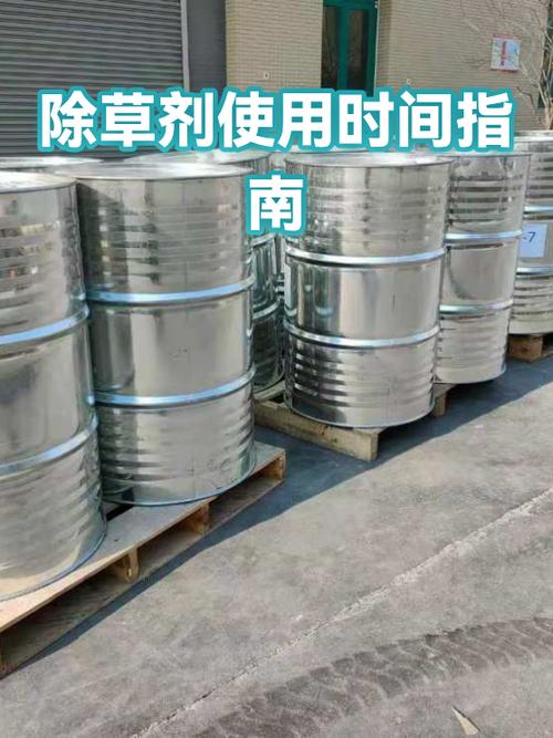 使用时间在哪里看