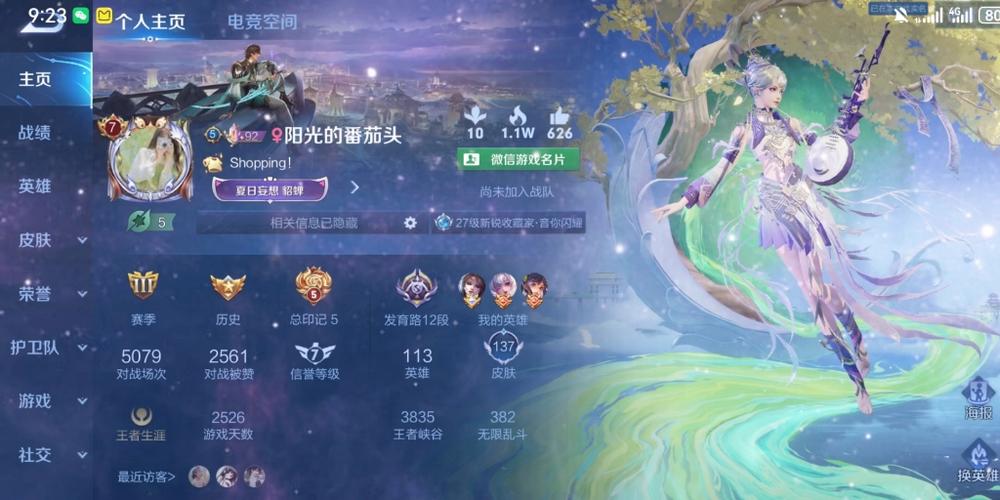 王者荣耀个人信息相册图标