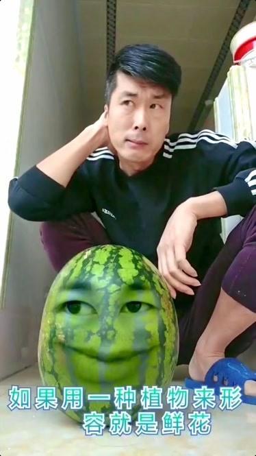 西瓜放映厅图标