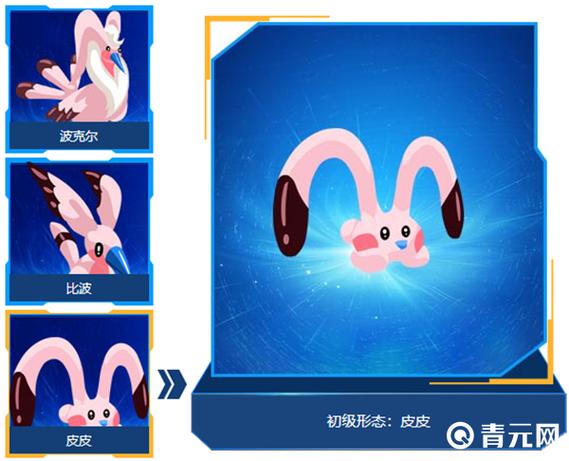 皮皮进化图
