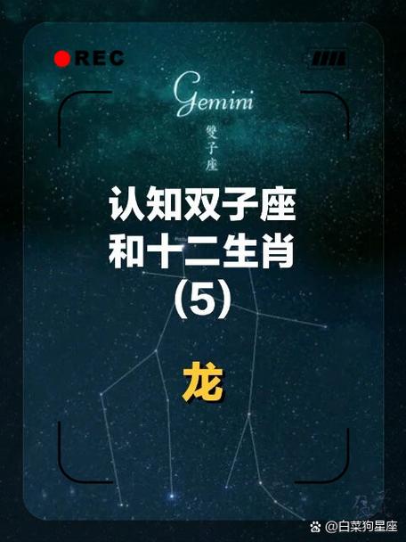 生肖守护神双子座是谁
