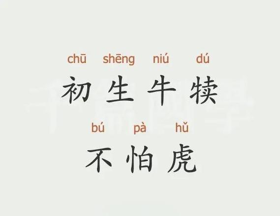 初生牛犊不怕虎猜三个数字