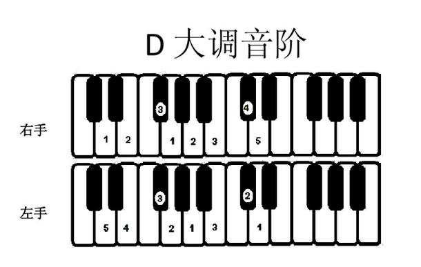 钢琴调音步骤图标