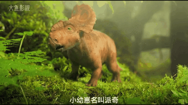 他身上有条龙大结局
