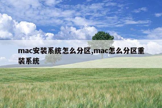 mac装双系统怎么分区截图