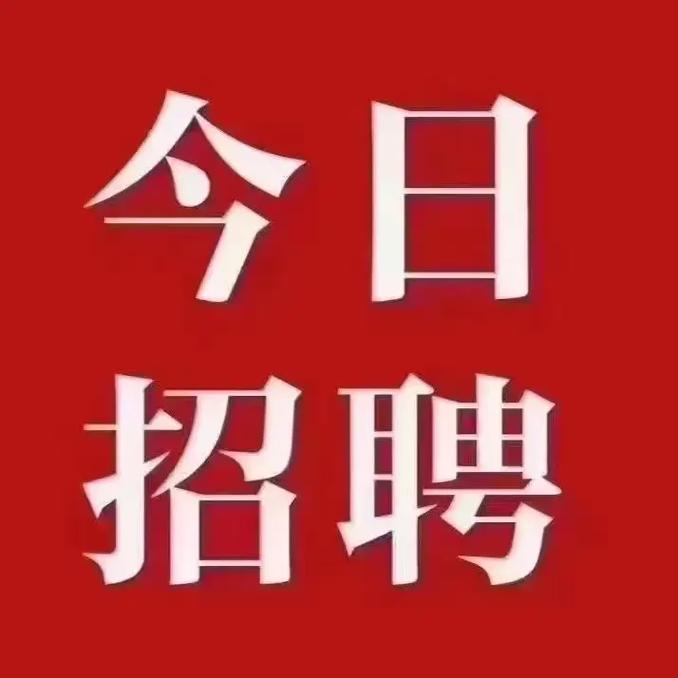 金春无纺布有限公司招聘