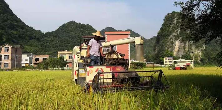 田园满仓软件