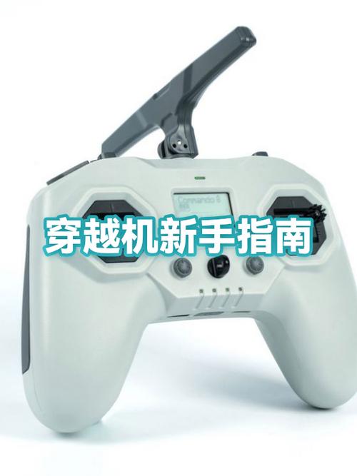 哪些角色适合新手
