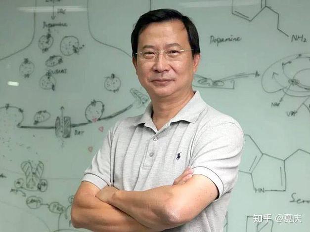 头衔怎么写