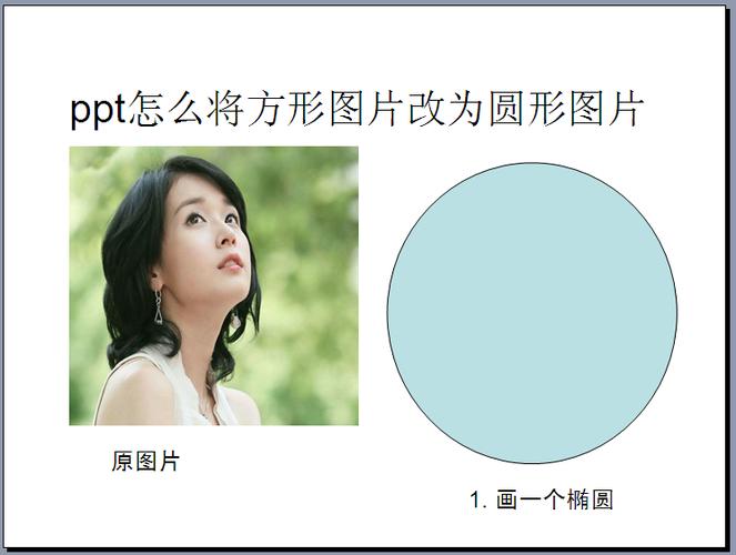 ppt图片怎么变成圆形