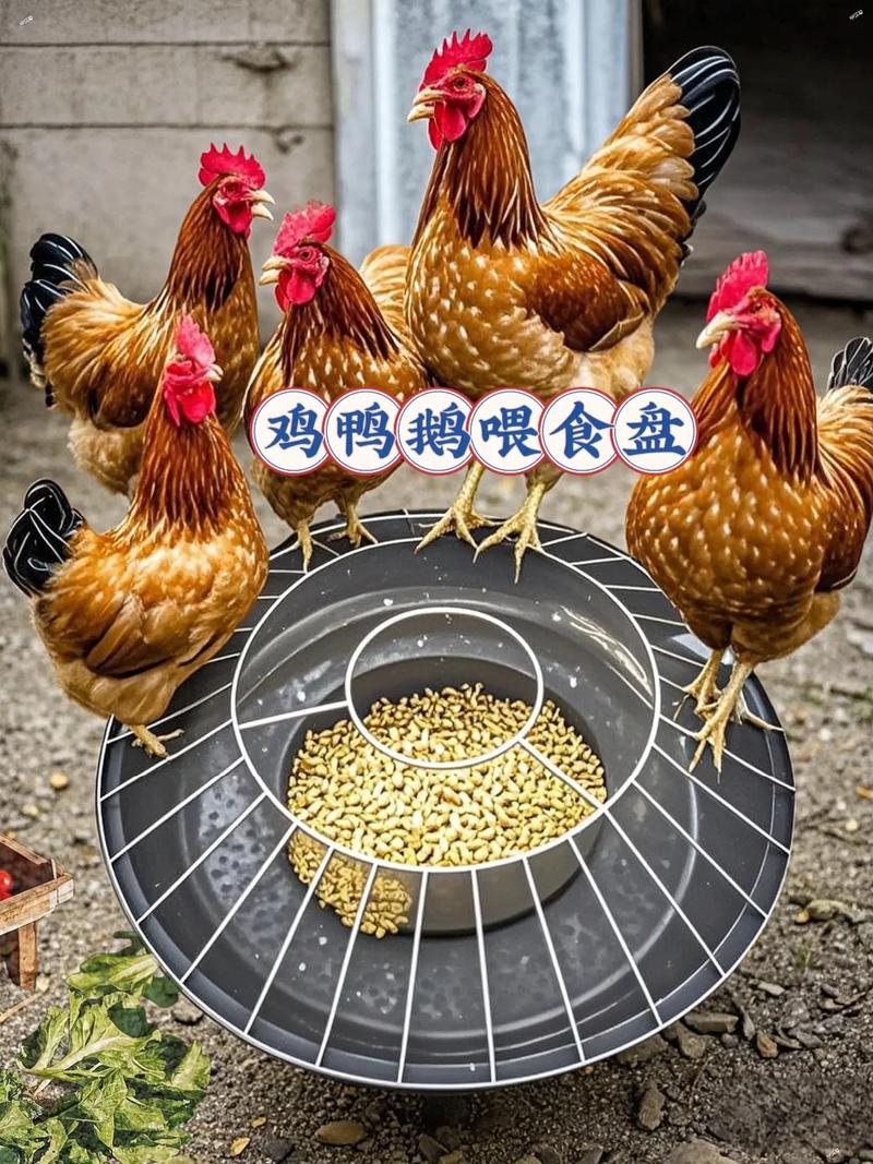 自制鸡自动喂食器缩略图