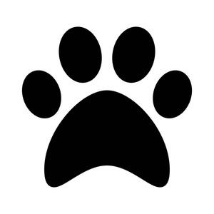 猫爪特殊符号可复制缩略图