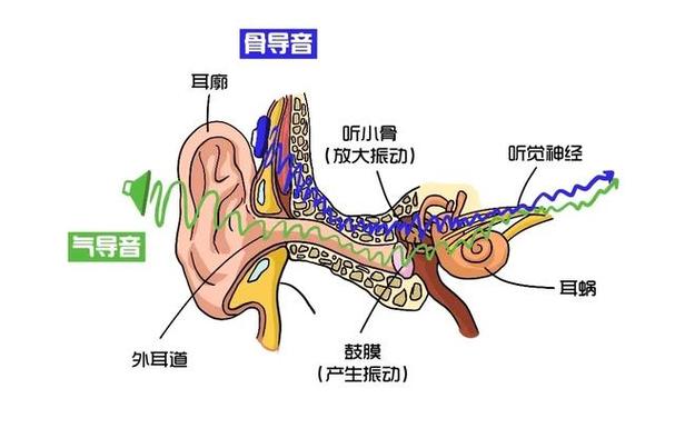 骨传导和空气传导谁更好听
