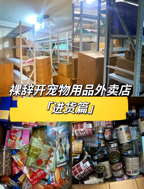 龙猫进货渠道