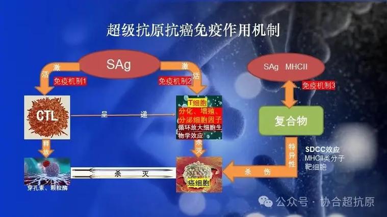只有艾莉一个免疫者吗