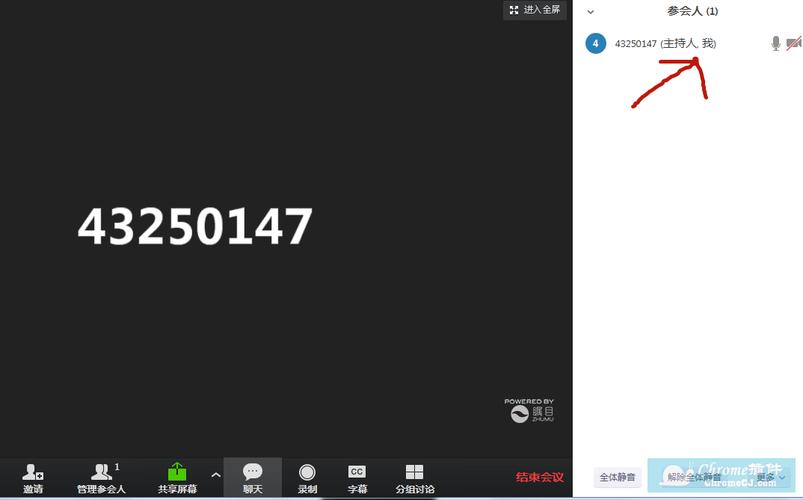 瞩目视频会议怎么用游戏截图