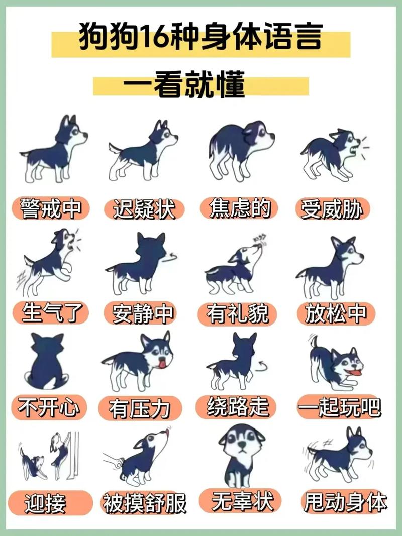 狗语翻译器免费下载