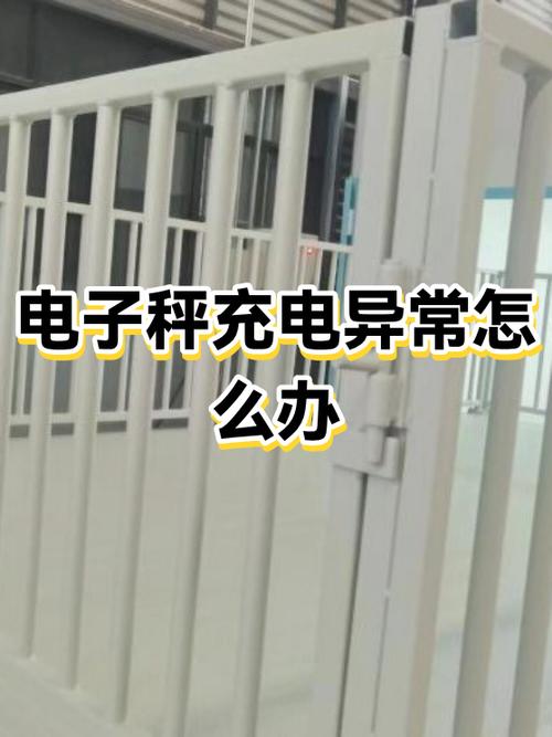 充电电子秤充不进电怎么回事