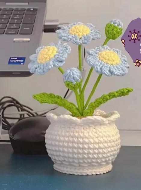 小雏菊制作教程视频