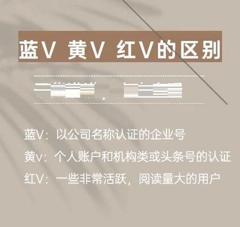视频号蓝v和黄v的区别