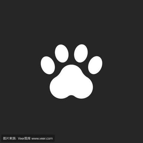10个常见的猫爪符号