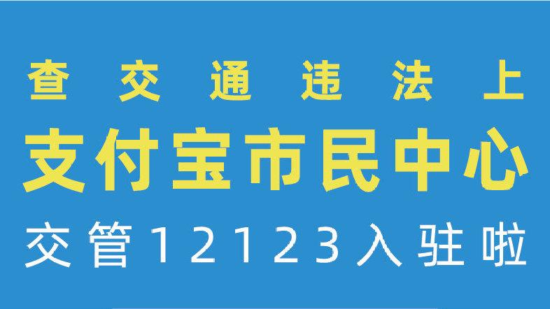 交管12123如何绑定支付截图