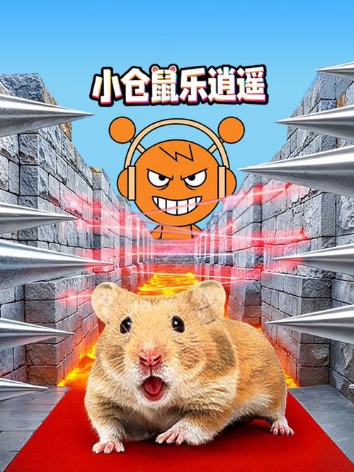 小仓鼠100集免费播放缩略图