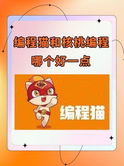 编程猫最近新闻